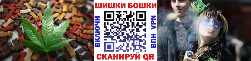 Canna-Cookies марихуана  blacksprut ссылки  Светлоград 