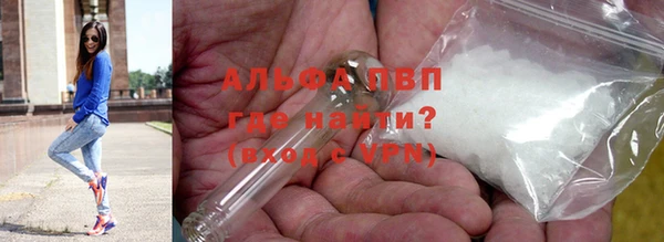 шишки Арсеньев