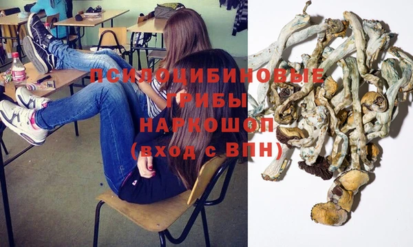 a pvp Алзамай