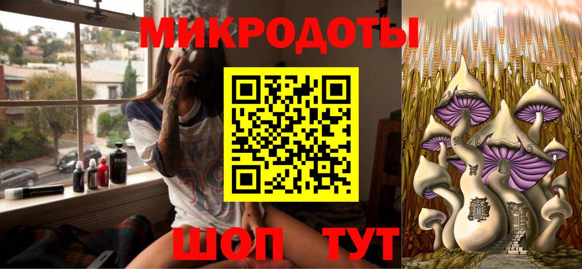 Галлюциногенные грибы Psilocybine cubensis Светлоград